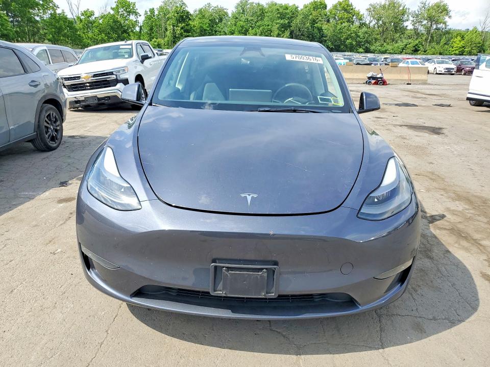 Aukcja sprzedaży 2023 Tesla Model Y, vin: 7SAYGDEE2PA175887, numer aukcji: 57003616