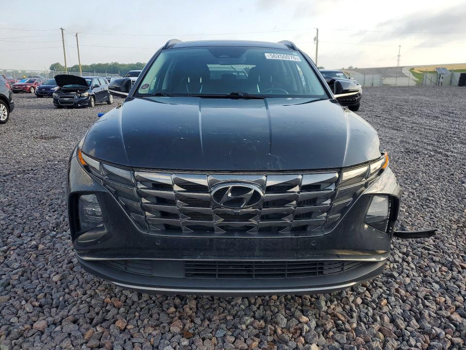 Продажа на аукционе авто 2022 Hyundai Tucson, vin: KM8JECA1XNU031279, номер лота: 56250076