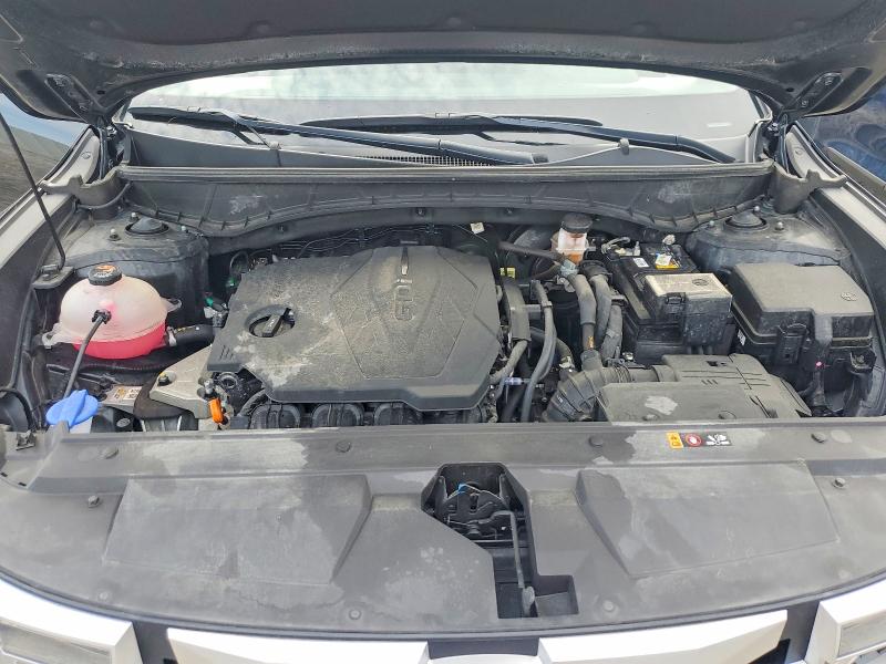 Продаж на аукціоні авто 2024 Hyundai Santa Cruz, vin: 5NTJBDAE3RH095140, номер лоту: 56583566