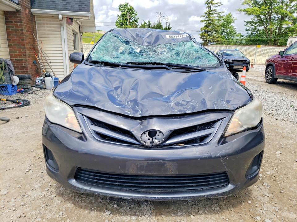 56234116 :رقم المزاد ، JTDBU4EE3B9135559 vin ، 2011 Toyota Corolla مزاد بيع