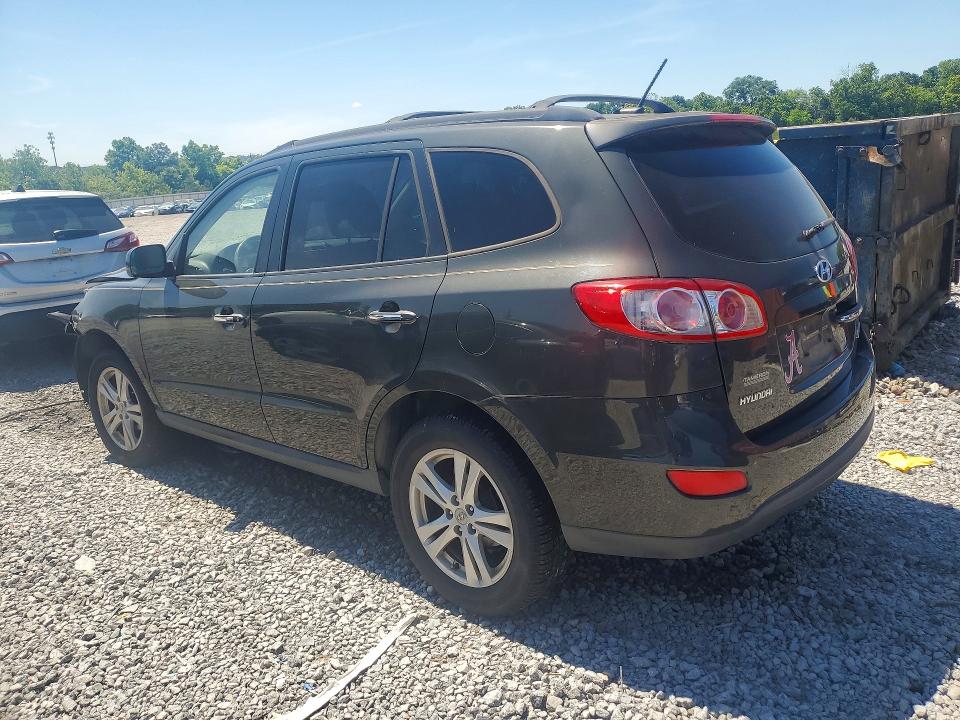 Продажа на аукционе авто 2010 Hyundai Santa Fe, vin: 5NMSK4AG9AH341503, номер лота: 55947836