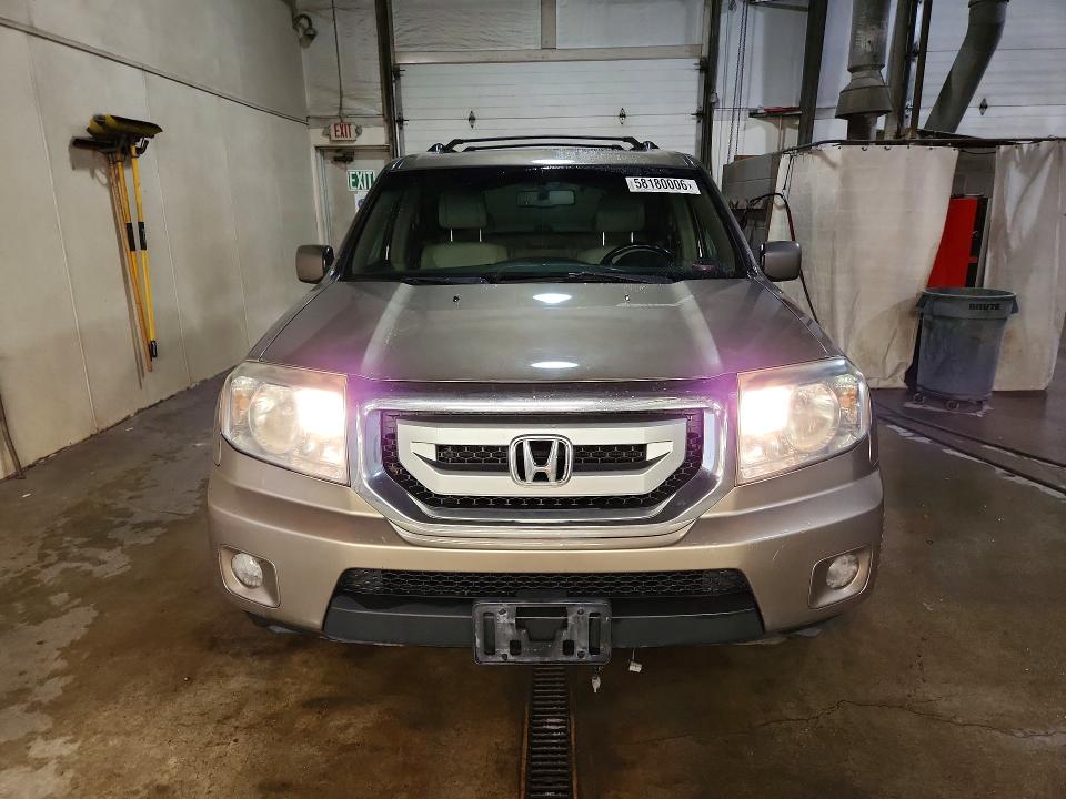 Auction sale of the 2009 Honda Pilot, vin: 5FNYF48559B049007, lot number: 58180006