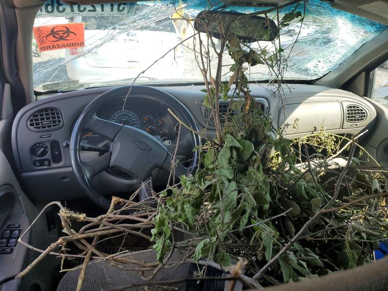 2003 Chevrolet Trailblazer მანქანა იყიდება აუქციონზე, vin: 1GNDT13S532374213, აუქციონის ნომერი: 57725736