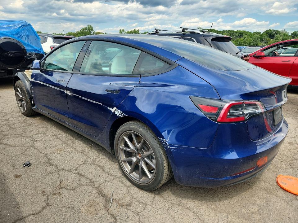 Продажа на аукционе авто 2021 Tesla Model 3, vin: 5YJ3E1EB5MF981335, номер лота: 57443246