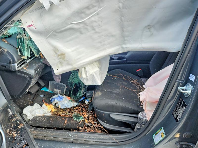 Aukcja sprzedaży 2025 Hyundai Elantra, vin: KMHLS4DG9SU975626, numer aukcji: 55820216