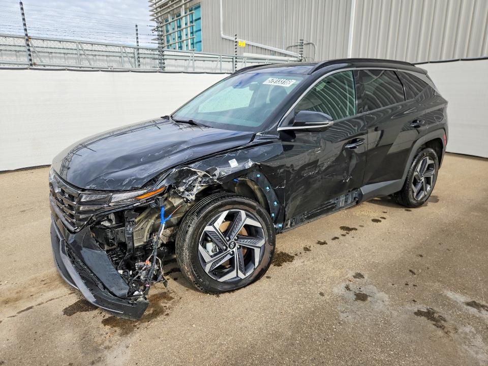 2024 Hyundai Tucson მანქანა იყიდება აუქციონზე, vin: KM8JCCD19RU181617, აუქციონის ნომერი: 57913316