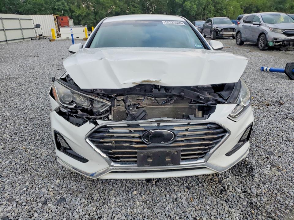 56329606 :رقم المزاد ، 5NPE24AF4KH813034 vin ، 2019 Hyundai Sonata مزاد بيع