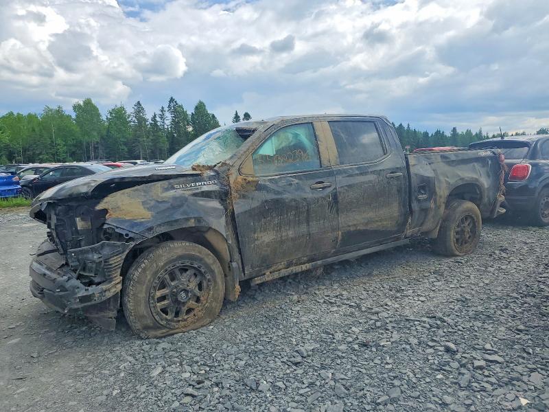 Aukcja sprzedaży 2024 Chevrolet Silverado, vin: 3GCPDBEK8RG398897, numer aukcji: 55082396
