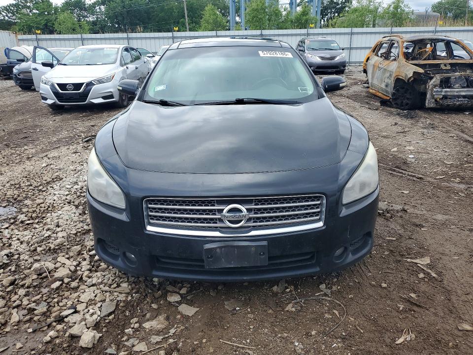 Продажа на аукционе авто 2010 Nissan Maxima, vin: 1N4AA5AP7AC858503, номер лота: 57028186