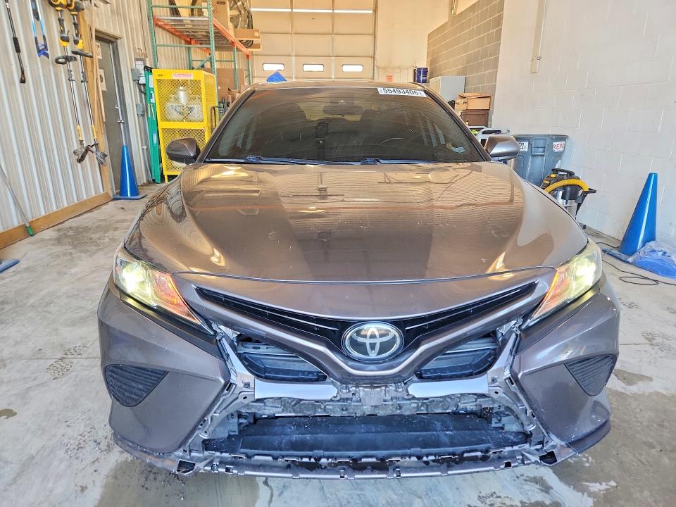 55493406 :رقم المزاد ، 4T1B11HK6KU766310 vin ، 2019 Toyota Camry مزاد بيع