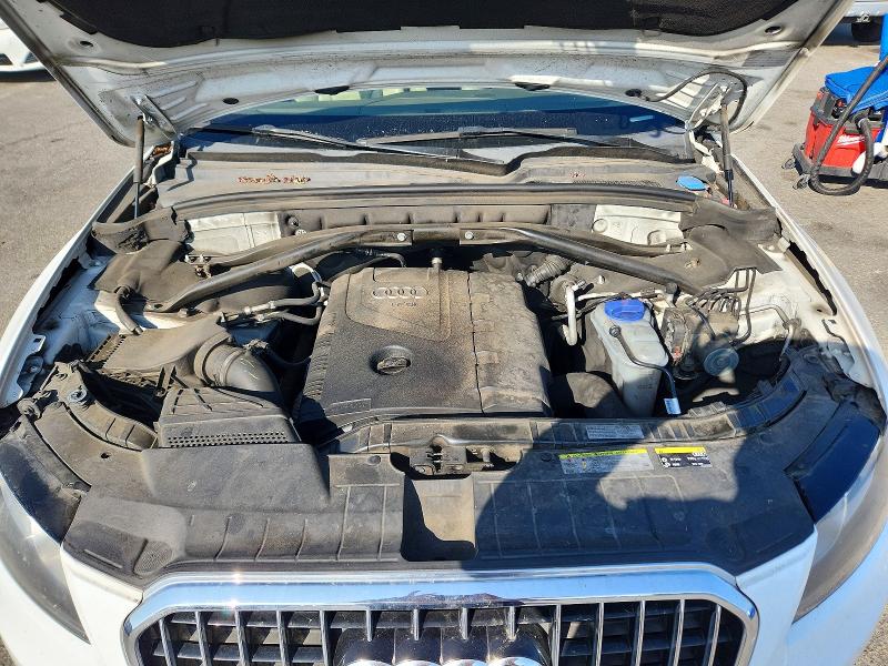 56087466 :رقم المزاد ، WA1CFAFP9DA097540 vin ، 2013 Audi Q5 مزاد بيع