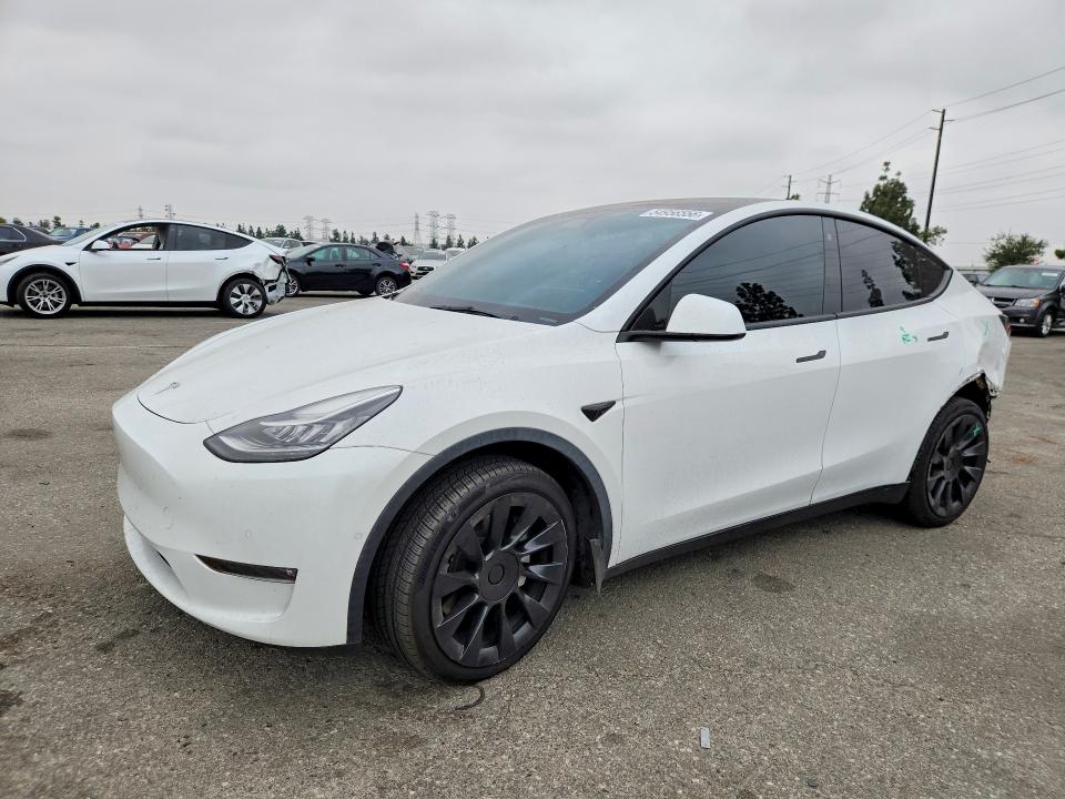 54956556 :رقم المزاد ، 5YJYGAEE6MF243747 vin ، 2021 Tesla Model Y مزاد بيع