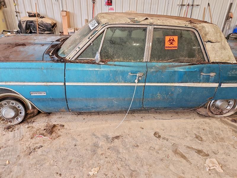 Продаж на аукціоні авто 1968 Plymouth Gran Fury, vin: PM41F8D161519, номер лоту: 55557416