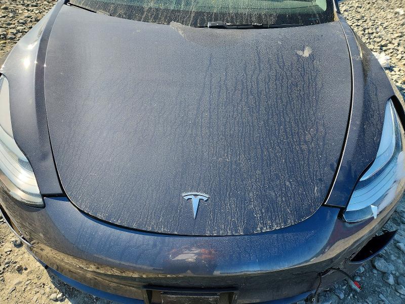 55331036 :رقم المزاد ، 5YJ3E1EA0KF411215 vin ، 2019 Tesla Model 3 مزاد بيع