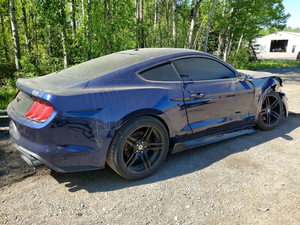 Auction sale of the 2019 Ford Mustang, vin: 1FA6P8CF8K5162605, lot number: 53379296