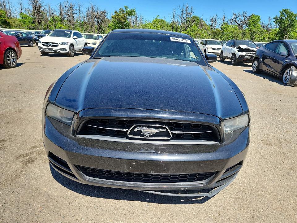 Продаж на аукціоні авто 2013 Ford Mustang, vin: 1ZVBP8AM2D5268882, номер лоту: 56034766