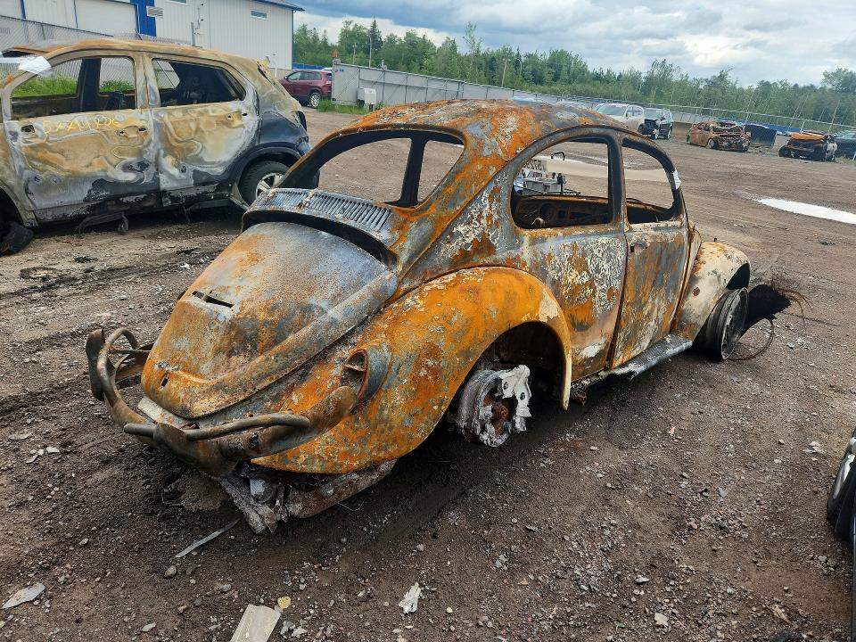 57295516 :رقم المزاد ، 117101418 vin ، 1967 Volkswagen Beetle مزاد بيع