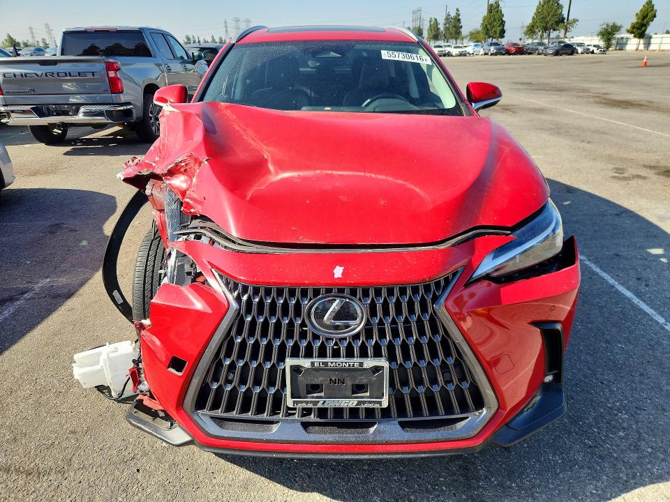 Aukcja sprzedaży 2025 Lexus Nx 250, vin: 2T2ADCAZ8SC021187, numer aukcji: 55730616