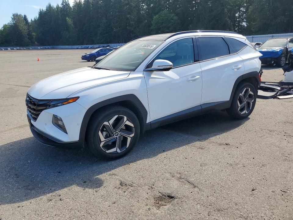 Продажа на аукционе авто 2024 Hyundai Tucson, vin: 5NMJECDE0RH311437, номер лота: 58920516