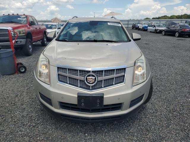 Продаж на аукціоні авто 2010 Cadillac Srx, vin: 3GYFNAEY4AS522084, номер лоту: 57808486
