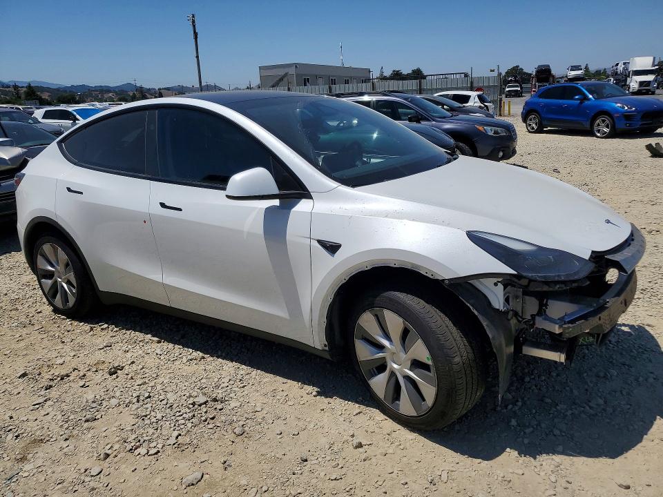 Продаж на аукціоні авто 2023 Tesla Model Y, vin: 7SAYGDEE8PF825177, номер лоту: 57243256