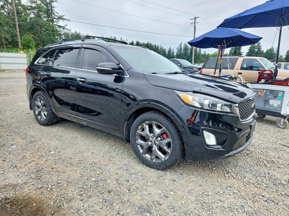 Продажа на аукционе авто 2017 Kia Sorento, vin: 5XYPK4A50HG241007, номер лота: 55834236