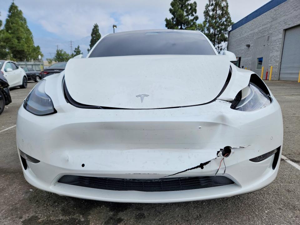 56430966 :رقم المزاد ، 5YJYGDEF2MF251709 vin ، 2021 Tesla Model Y مزاد بيع