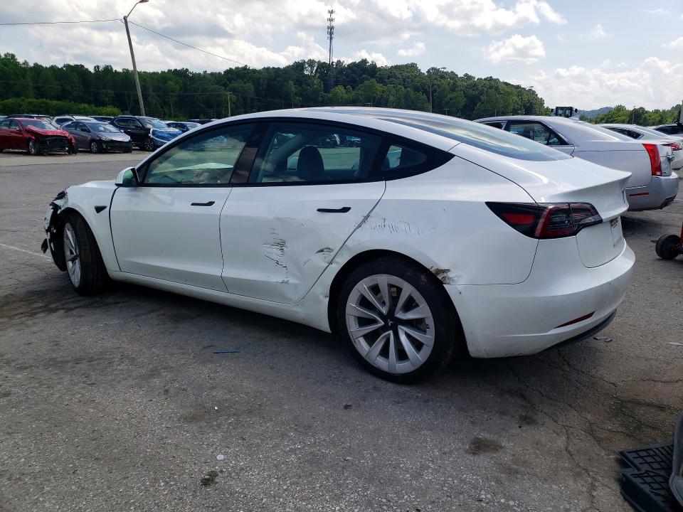 Продаж на аукціоні авто 2023 Tesla Model 3, vin: 5YJ3E1EA6PF541491, номер лоту: 56242726