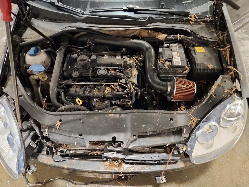 Aukcja sprzedaży 2008 Volkswagen Gti, vin: WVWHV71K78W109934, numer aukcji: 56993716
