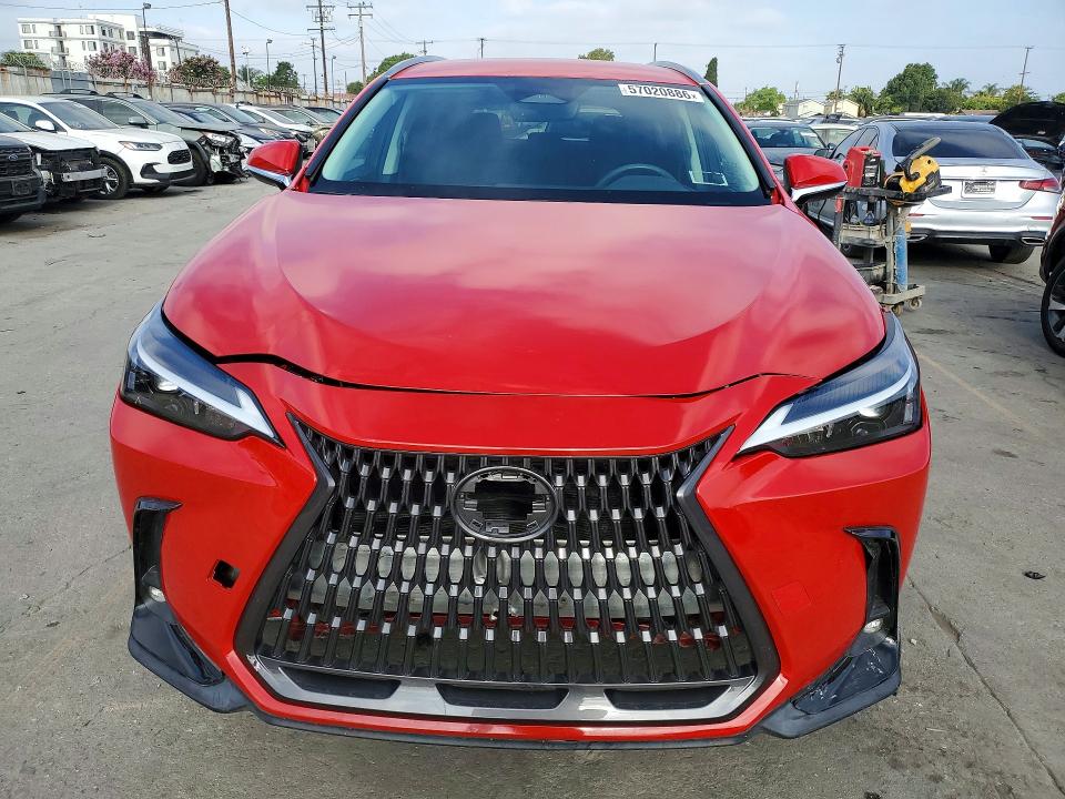 2022 Lexus Nx მანქანა იყიდება აუქციონზე, vin: 2T2ADCEZ5NC001428, აუქციონის ნომერი: 57020886
