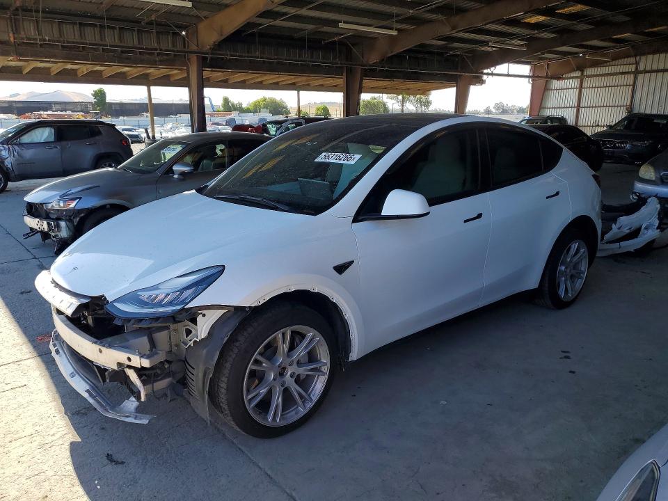 Auction sale of the 2021 Tesla Model Y, vin: 5YJYGDEE2MF161810, lot number: 56316266