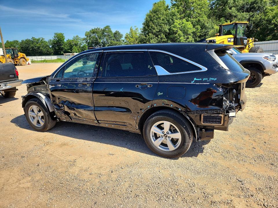 Auction sale of the 2025 Kia Sorento, vin: 5XYRG4JC9SG404589, lot number: 56108866