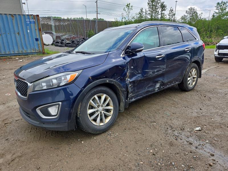 55562496 :رقم المزاد ، 5XYPGDA59GG186881 vin ، 2016 Kia Sorento مزاد بيع