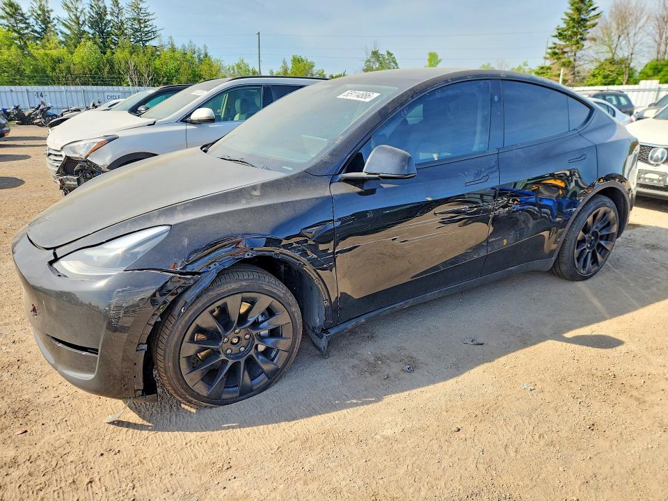 Продажа на аукционе авто 2024 Tesla Model Y, vin: 7SAYGDEE8RF018595, номер лота: 55114886