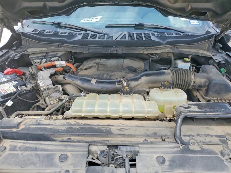 Продажа на аукционе авто 2021 Ford F150, vin: 1FTFW1ED4MFB48049, номер лота: 59127896