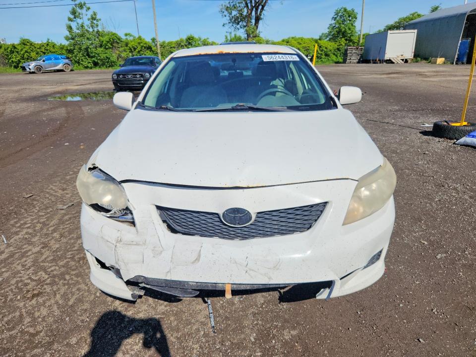 Продажа на аукционе авто 2009 Toyota Corolla, vin: 2T1BU40E99C075525, номер лота: 56244316