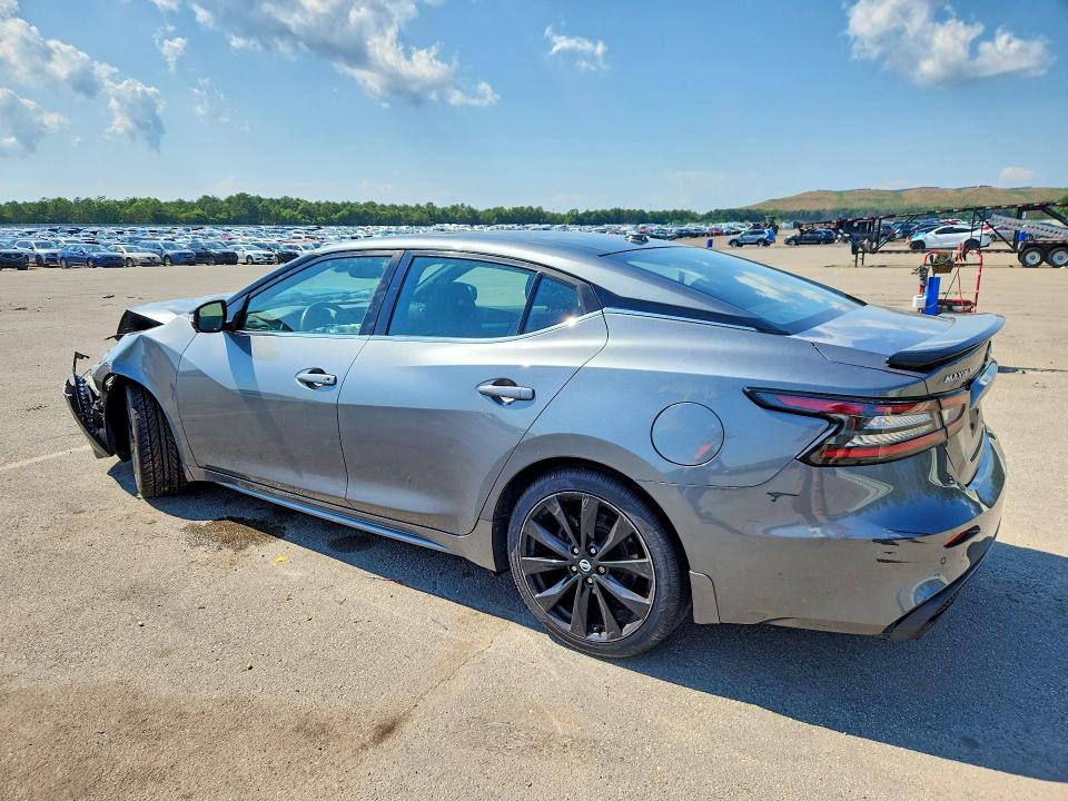58954916 :رقم المزاد ، 1N4AA6AV1KC373067 vin ، 2019 Nissan Maxima مزاد بيع