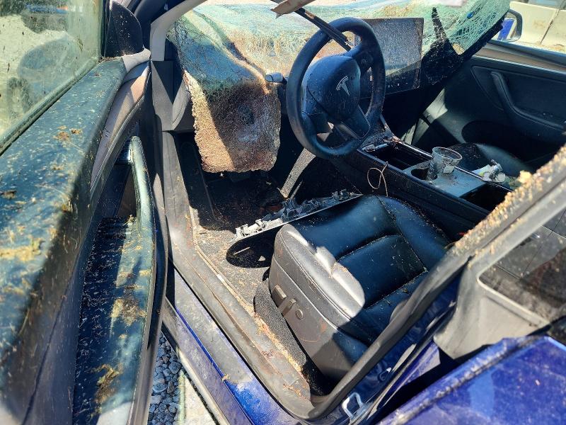 56144766 :رقم المزاد ، 7SAYGAEEXRF023506 vin ، 2024 Tesla Model Y مزاد بيع