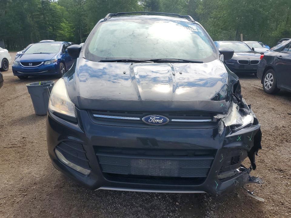 57175576 :رقم المزاد ، 1FMCU0GXXDUD60679 vin ، 2013 Ford Escape مزاد بيع