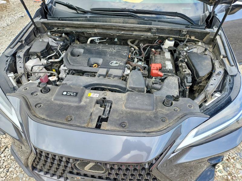 2025 Lexus Nx მანქანა იყიდება აუქციონზე, vin: 2T2GDCAZ4SC018006, აუქციონის ნომერი: 57819976