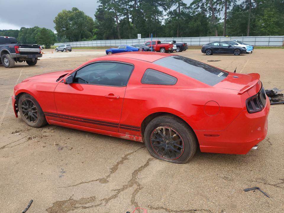 Продаж на аукціоні авто 2013 Ford Mustang, vin: 1ZVBP8AM3D5239567, номер лоту: 56746806