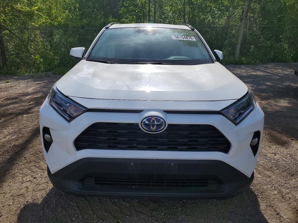 2021 Toyota Rav4 მანქანა იყიდება აუქციონზე, vin: 2T3RWRFV0MW124221, აუქციონის ნომერი: 56154876