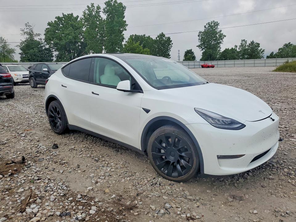 Продажа на аукционе авто 2021 Tesla Model Y, vin: 5YJYGDEE7MF190087, номер лота: 56501246