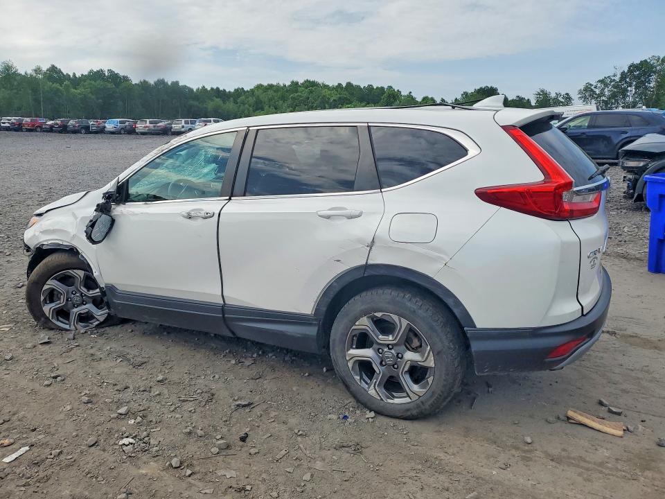 Продаж на аукціоні авто 2019 Honda Cr-v, vin: 5J6RW2H83KL025546, номер лоту: 56821906