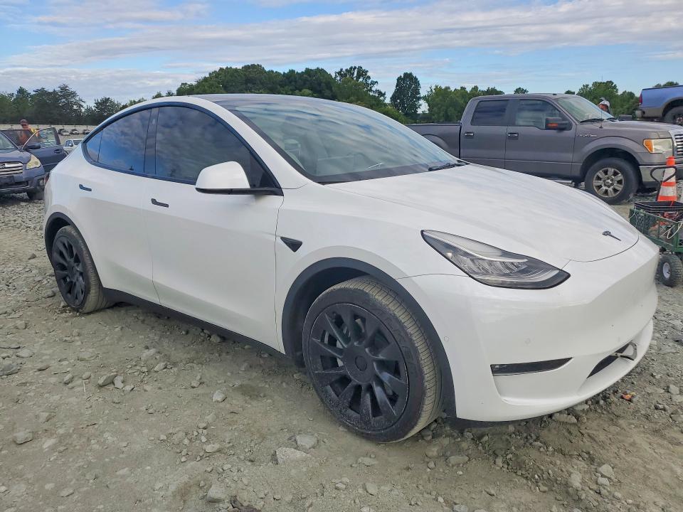 Продаж на аукціоні авто 2021 Tesla Model Y, vin: 5YJYGAEE1MF195414, номер лоту: 56985516