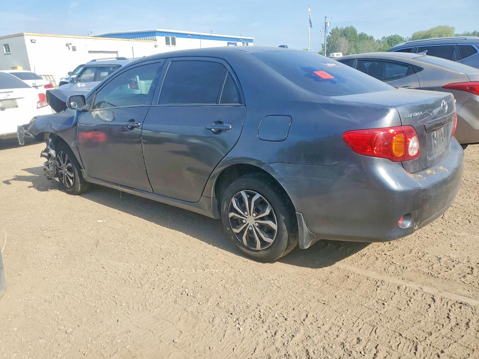 55604356 :رقم المزاد ، 2T1BU4EE2AC337950 vin ، 2010 Toyota Corolla مزاد بيع