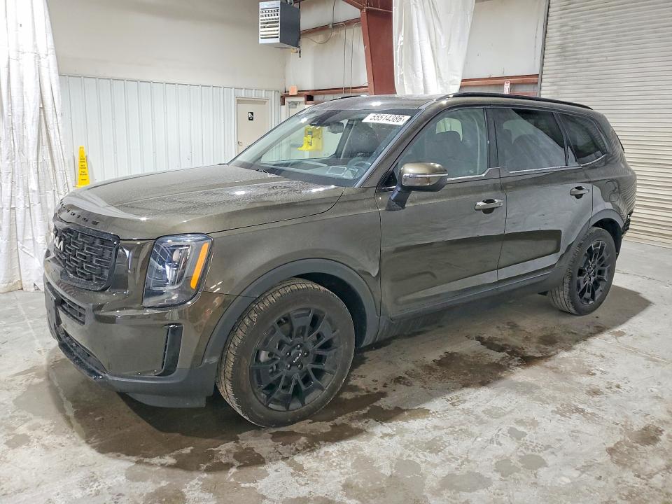 Auction sale of the 2022 Kia Telluride, vin: 5XYP3DHC7NG247495, lot number: 55514386
