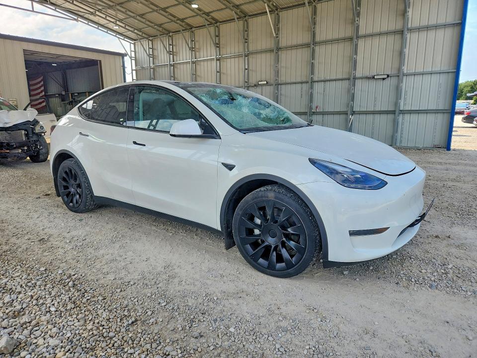 Продаж на аукціоні авто 2023 Tesla Model Y, vin: 7SAYGDEE3PA207780, номер лоту: 56041666