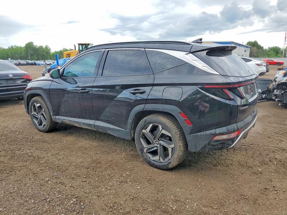 Aukcja sprzedaży 2023 Hyundai Tucson, vin: KM8JCCA13PU117798, numer aukcji: 54404526