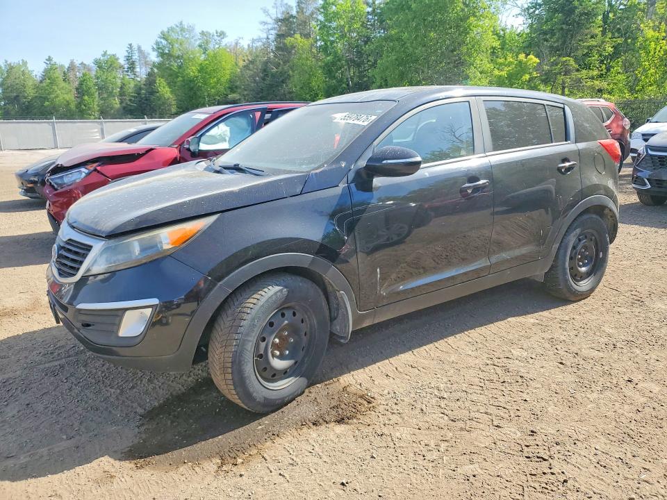Продаж на аукціоні авто 2011 Kia Sportage, vin: KNDPB3A20B7129537, номер лоту: 55978476